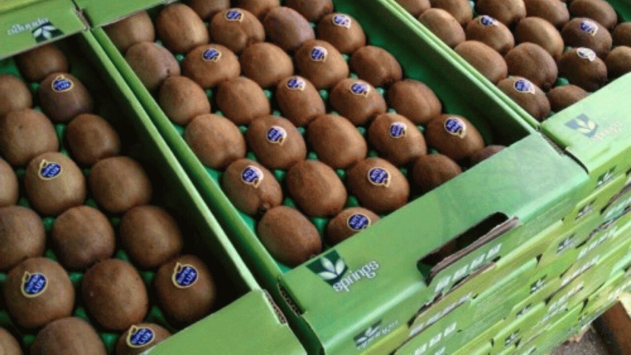 گرد غُبار بر بازار کیویفروشان مازندران