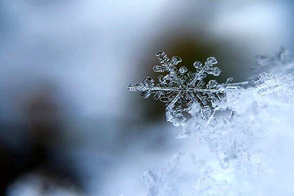 روز جهانی برف + تاریخچه و موضوع