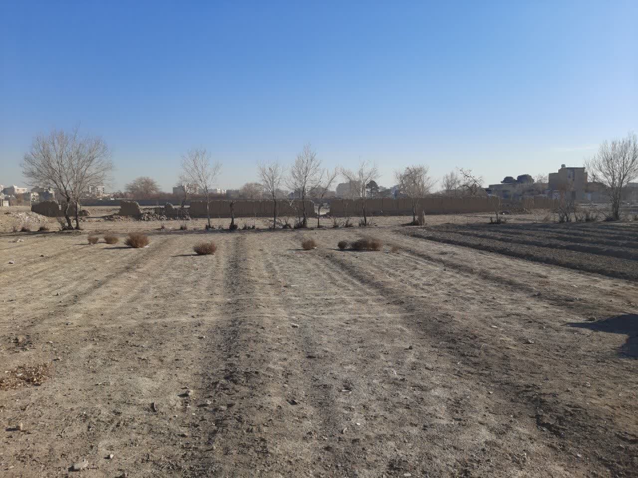 پرتمان؛ ریه ثانویه شهر اصفهان میشود