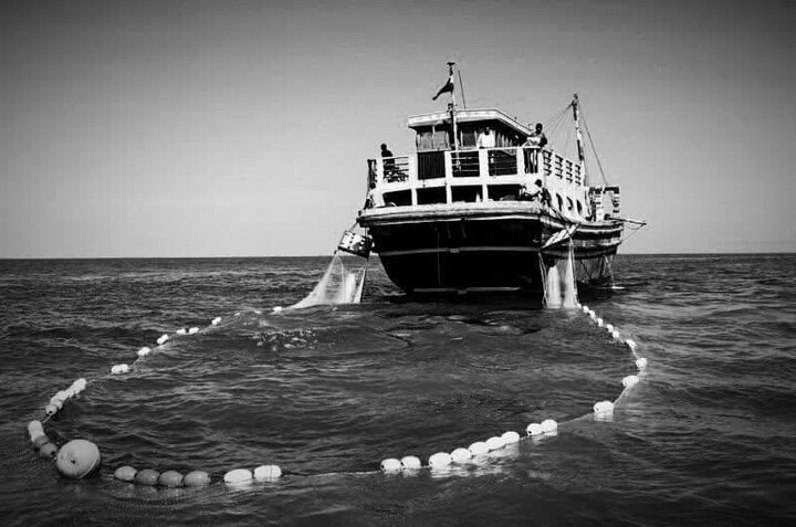 بهره‌برداری از ۴۰ قفس پرورش ماهی در دریای خزر