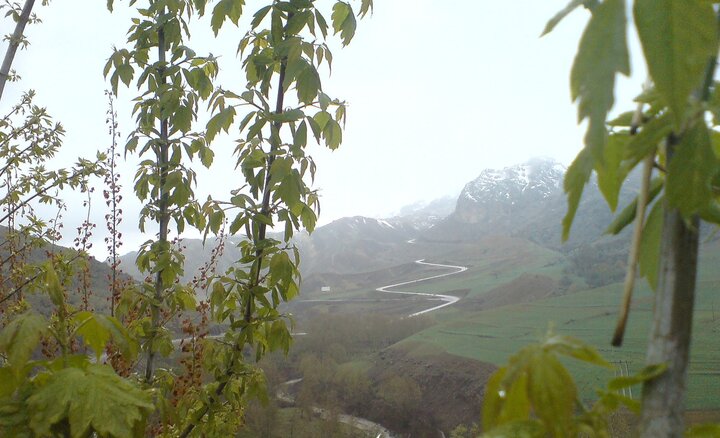 اولین برف زمستانی در دشت مغان بر زمین نشست+ فیلم