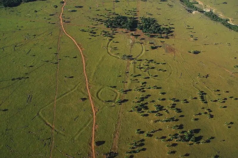 کشف شهر گمشده باستانی عظیم در آمازون