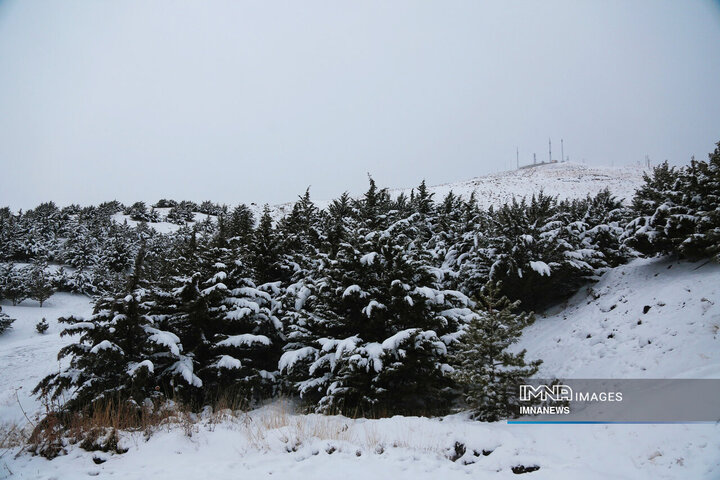 بارش برف در استان البرز