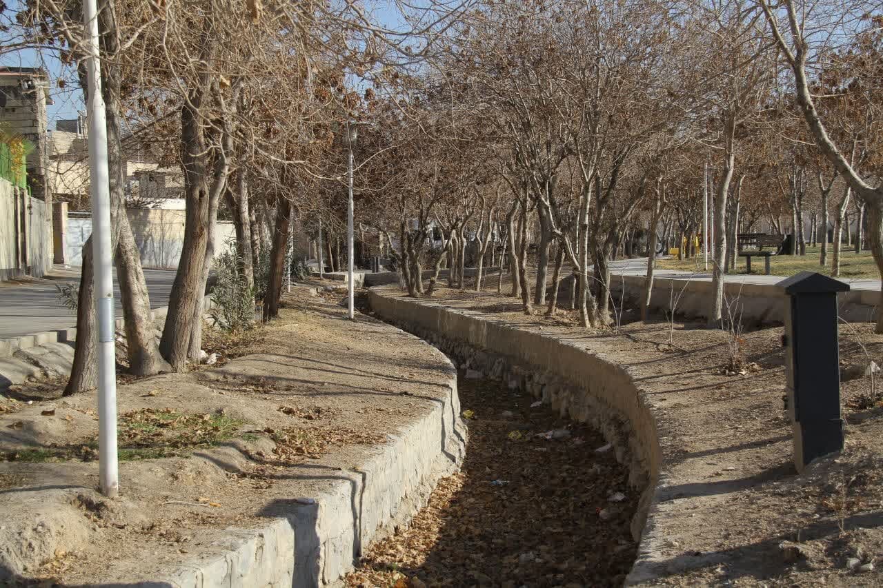 «کوجان»، بیشهزاری سبز با کهریزهای فراوان