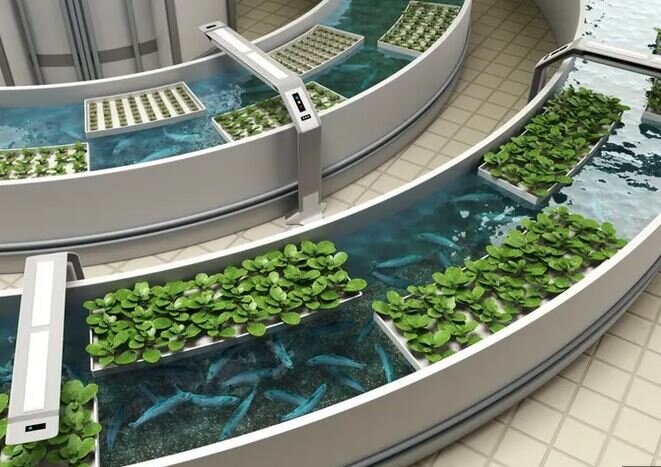 راهحلهای کشاورزی هوشمند برای امنیت غذایی شهرها