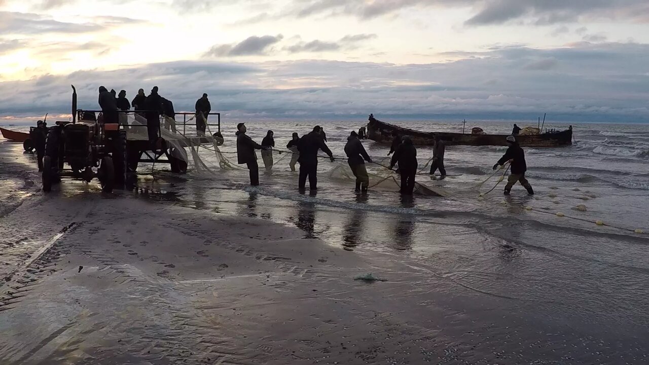 سخاوت ستودنی دریا در تامین معاش صیادان / «آبزیپروری» صنعتی اشتغالآفرین و ارزآور