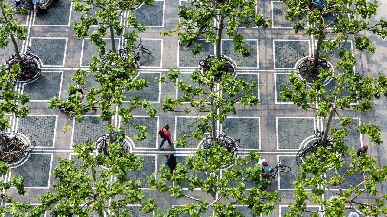 گسترش باغشهرها برای محافظت از اکوسیستم و زندگی شهری