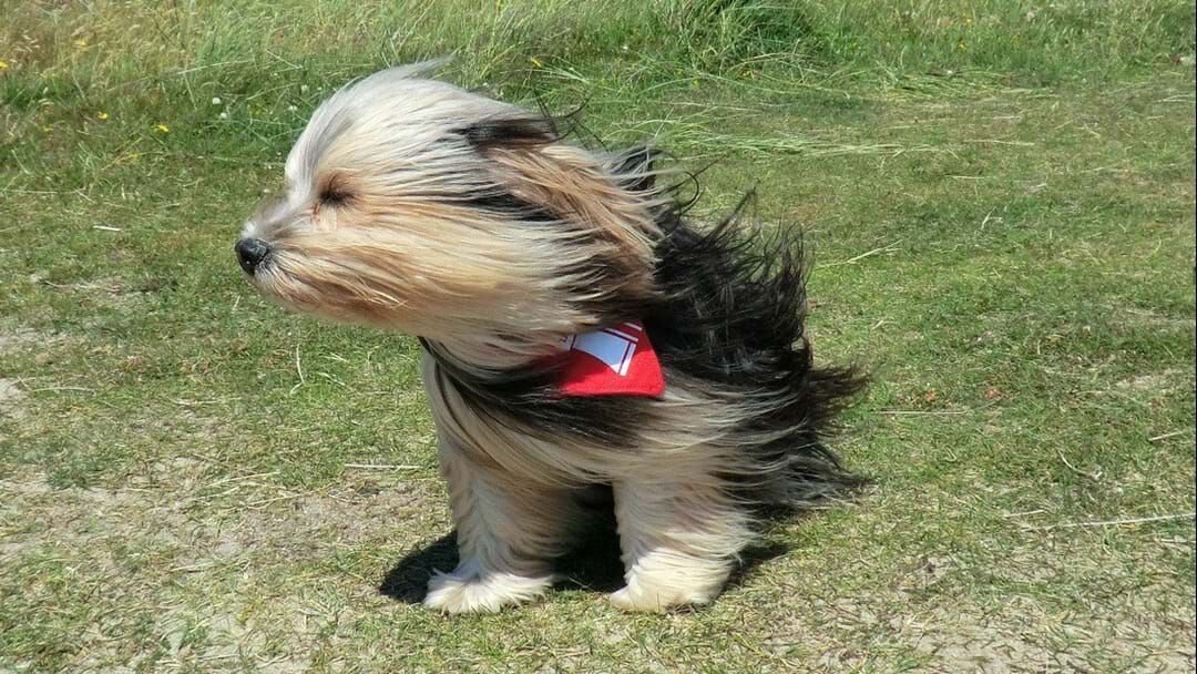 بادخیزترین شهرهای جهان