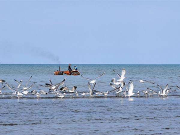 آغوش باز خلیج گرگان برای مهمانان سیبری