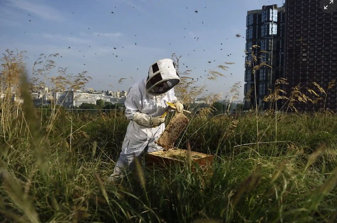 تغییر کاربری خلاقانه پشتبامها برای بهبود کیفیت زندگی شهری