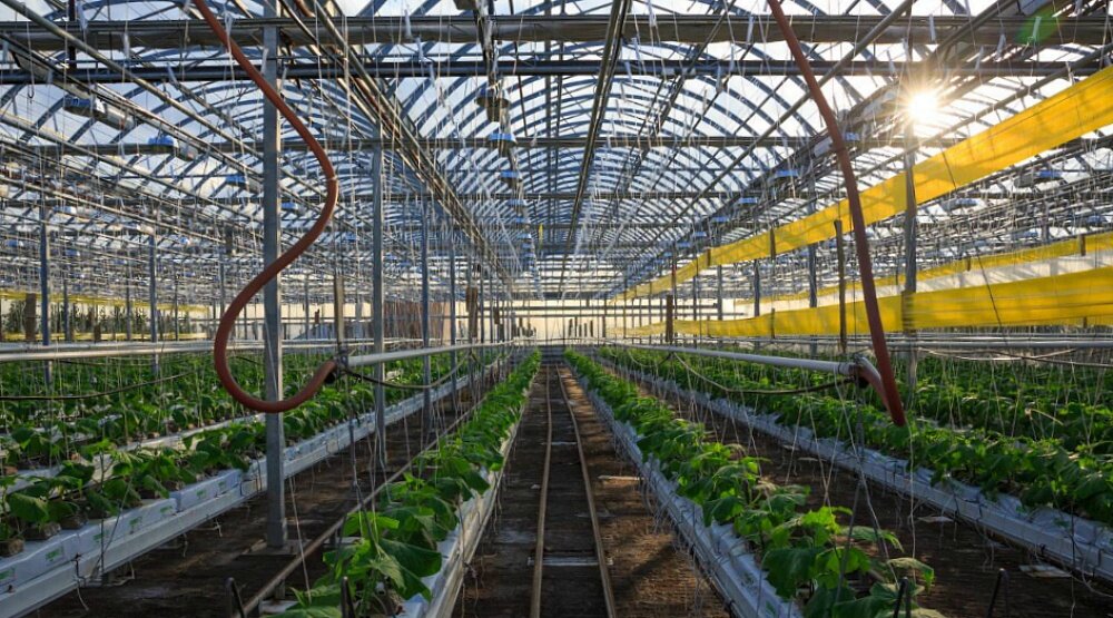 تغییر کاربری خلاقانه پشتبامها برای بهبود کیفیت زندگی شهری