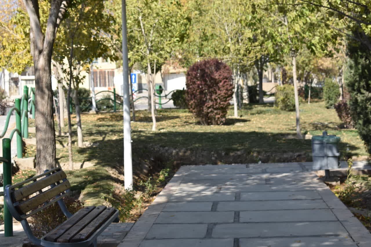 آغاز عملیات بهبود کیفی درختان منطقه ۹ اصفهان با ۴ میلیارد ریال اعتبار