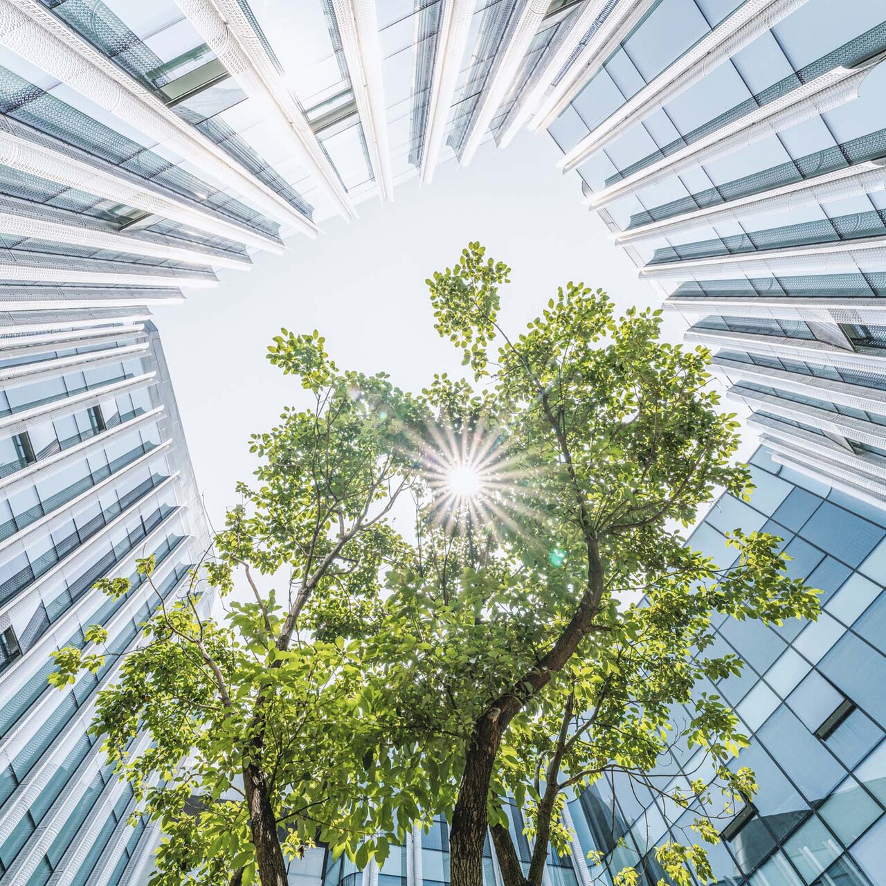 کاهش ردپای کربن شهرها از طریق معماری