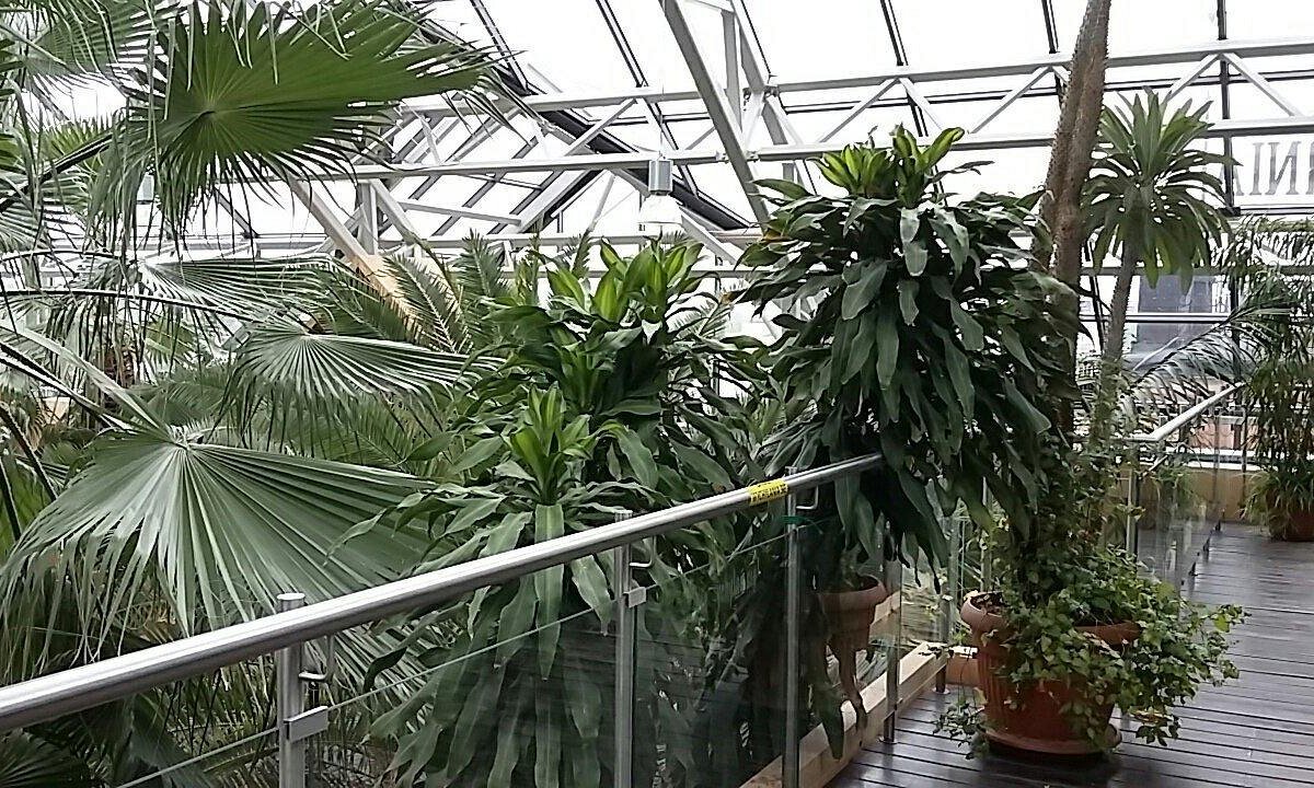 ورشو میزبان ایستگاه راهآهن بیوفیلیک