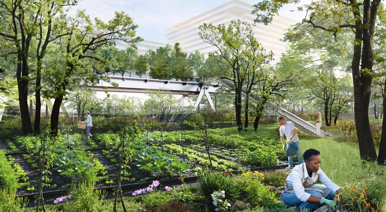 نمونههای موفق تبدیل فضاهای بدون استفاده در شهرها به مکانهای کاربردی