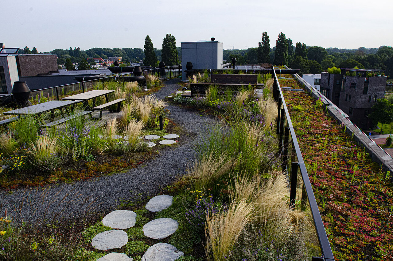 نقش فضاهای شهری در مقابله با بحرانهای آبوهوایی