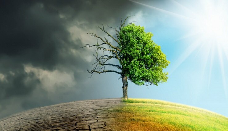 سایه سیاه تغییرات اقلیمی بر حیات وحش