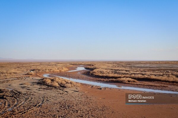 سایه سنگین خشکی بر سر تالابها / امیدی به احیا هست؟