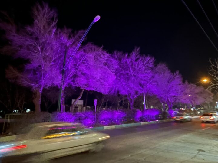 نورپردازی و مبلمان خیابان شریف شرقی با ۴۵ میلیارد ریال اعتبار