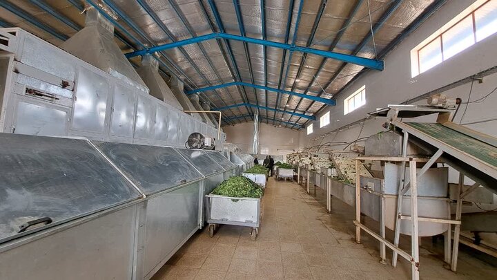 مراسم افتتاح کارخانه بسته‌بندی انواع سبزیجات و صیفی‌جات در طبس