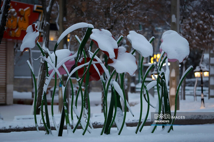 چهره برفی اراک