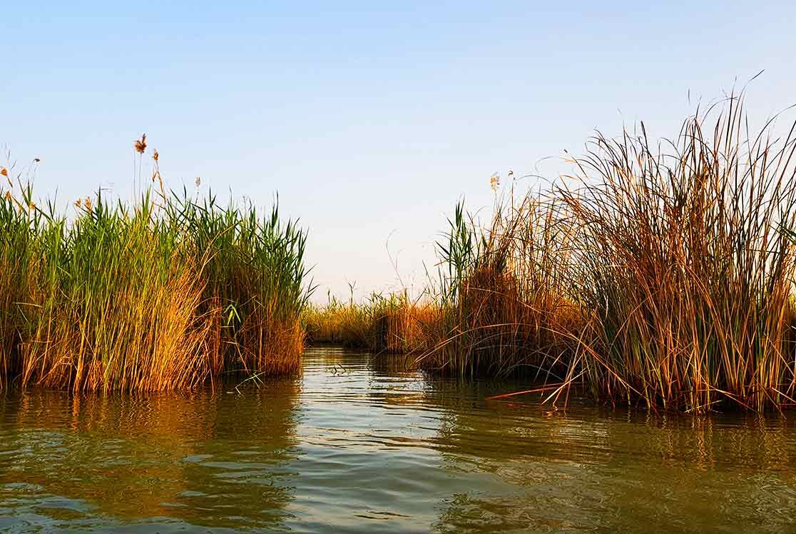 سایه سنگین خشکی بر سر تالابها / امیدی به احیا هست؟