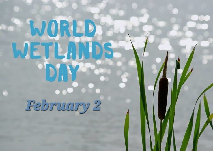 روز جهانی تالابها + تاریخچه و شعار