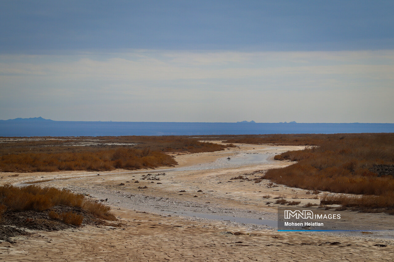 خشکسالی گریبانگیر رگهای حیاتی زمین