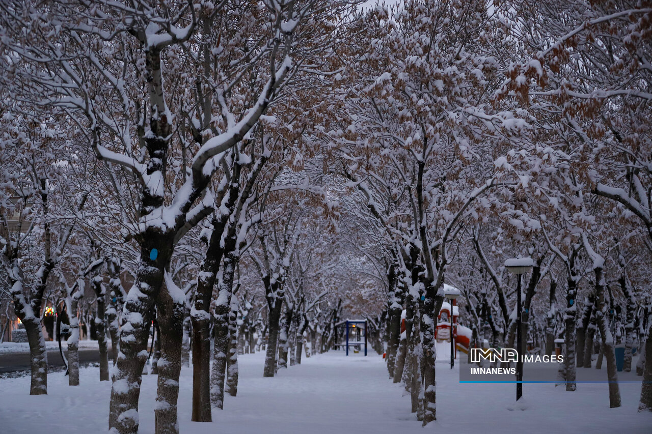 سرما و باران و برف در راه استان یزد