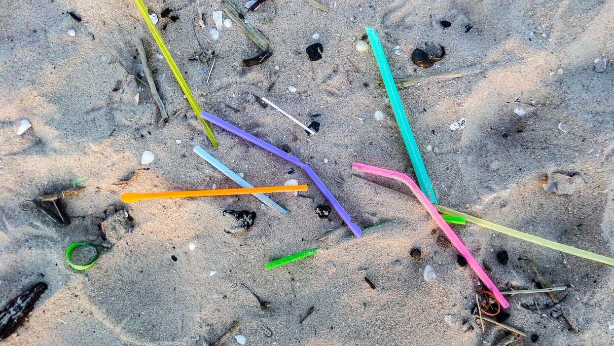 نیها، نمادی ماندگار از بحران جهانی آلودگی پلاستیکی