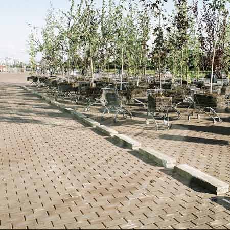 باغچههای سیار؛ راهکار کمبود فضای سبز شهری