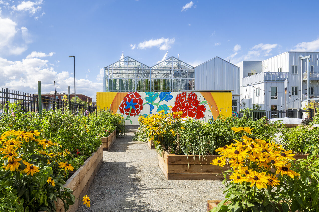 پیشرفت کشاورزی شهری و احیای محلهها