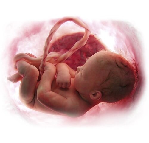 پزشکی بازساختی جایگزین روشهای رایج درمانی میشود