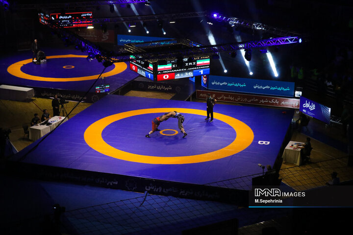 طلاییهای کشتی میلیاردر میشوند