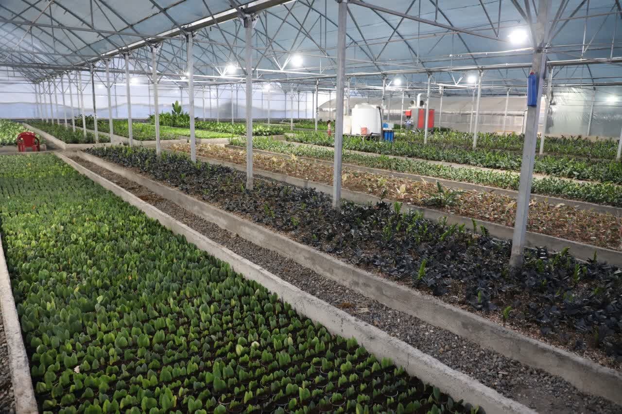 چشم روشنی فرشتهها به سرزمین آبهای روشن