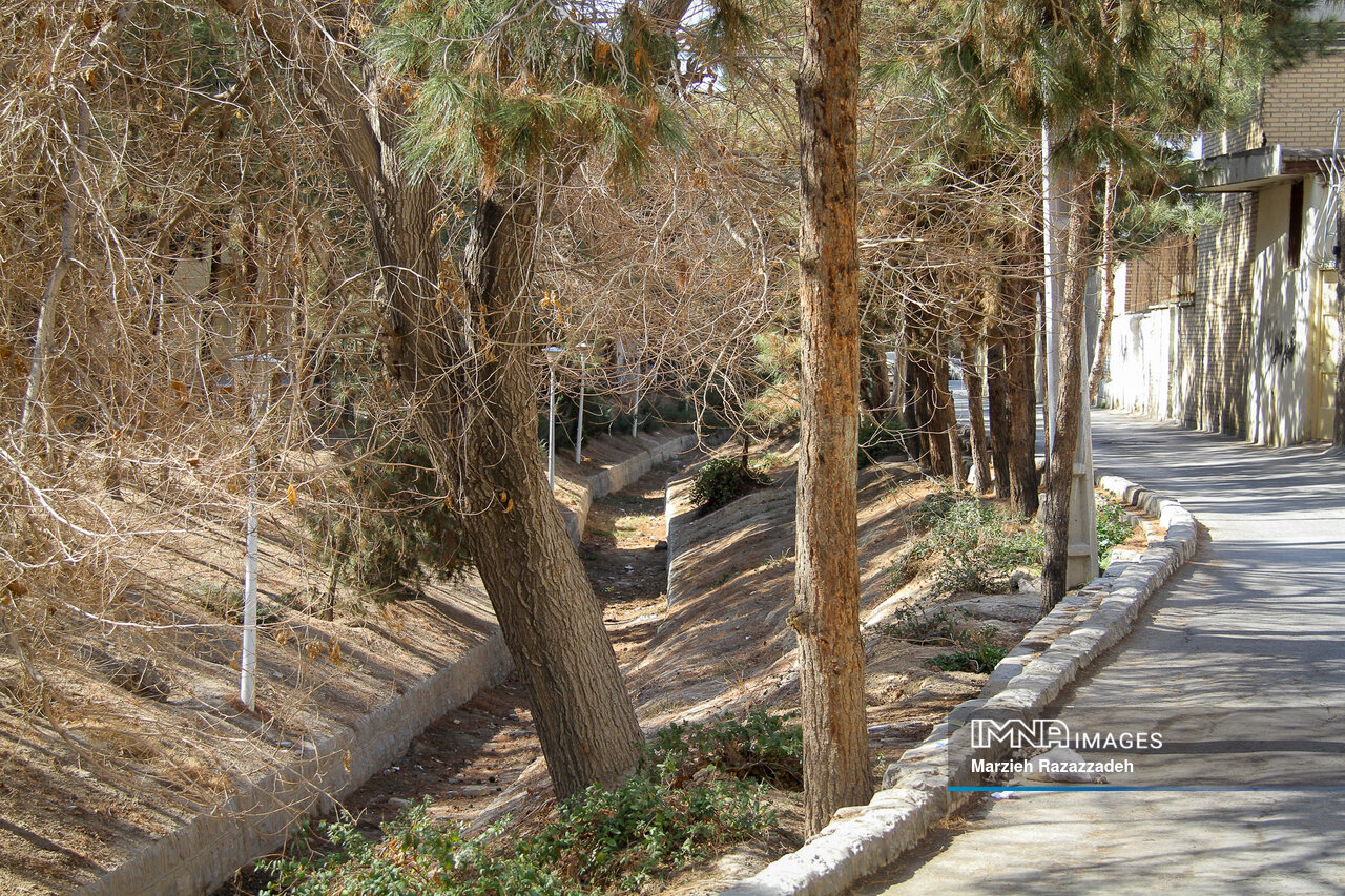 «منطقه ۱۰» بافتی متنوع، پیچیده و منحصر بهفرد در شرق اصفهان