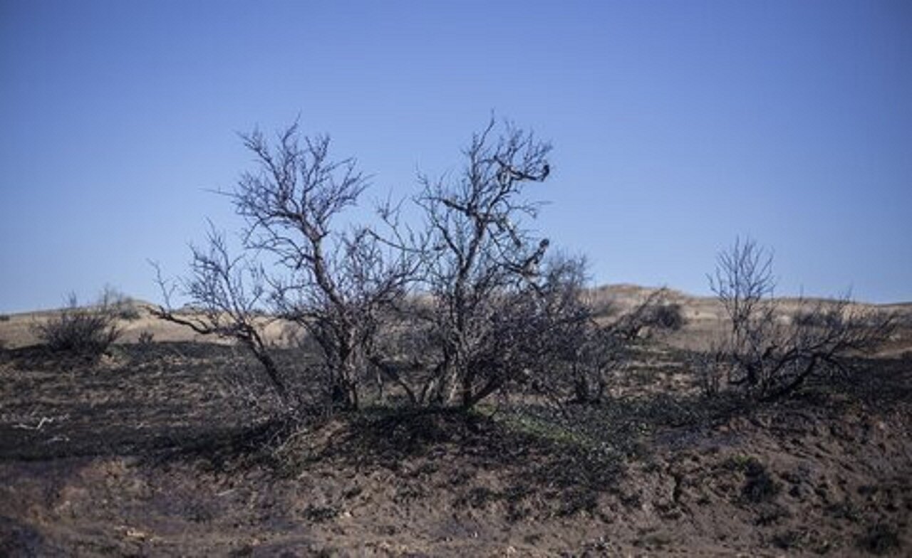 مالچ پاشی گزینه مناسبی درمقابله با ریزگردها / مالچ نانو،راهکاری نوین در برابر بیابانزایی