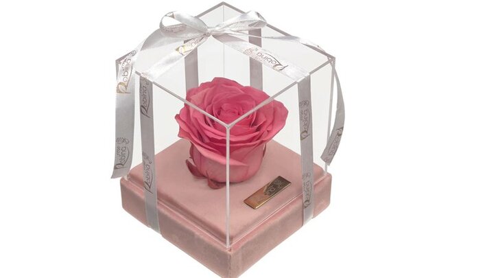 نحوه تمیز کردن گل رز جاودان نحوه تمیز کردن گل رز جاودان