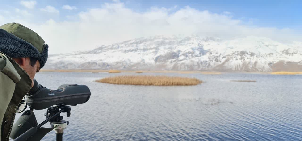 چهارگونه حیات وحش چهارمحال و بختیاری در معرض انقراض هستند