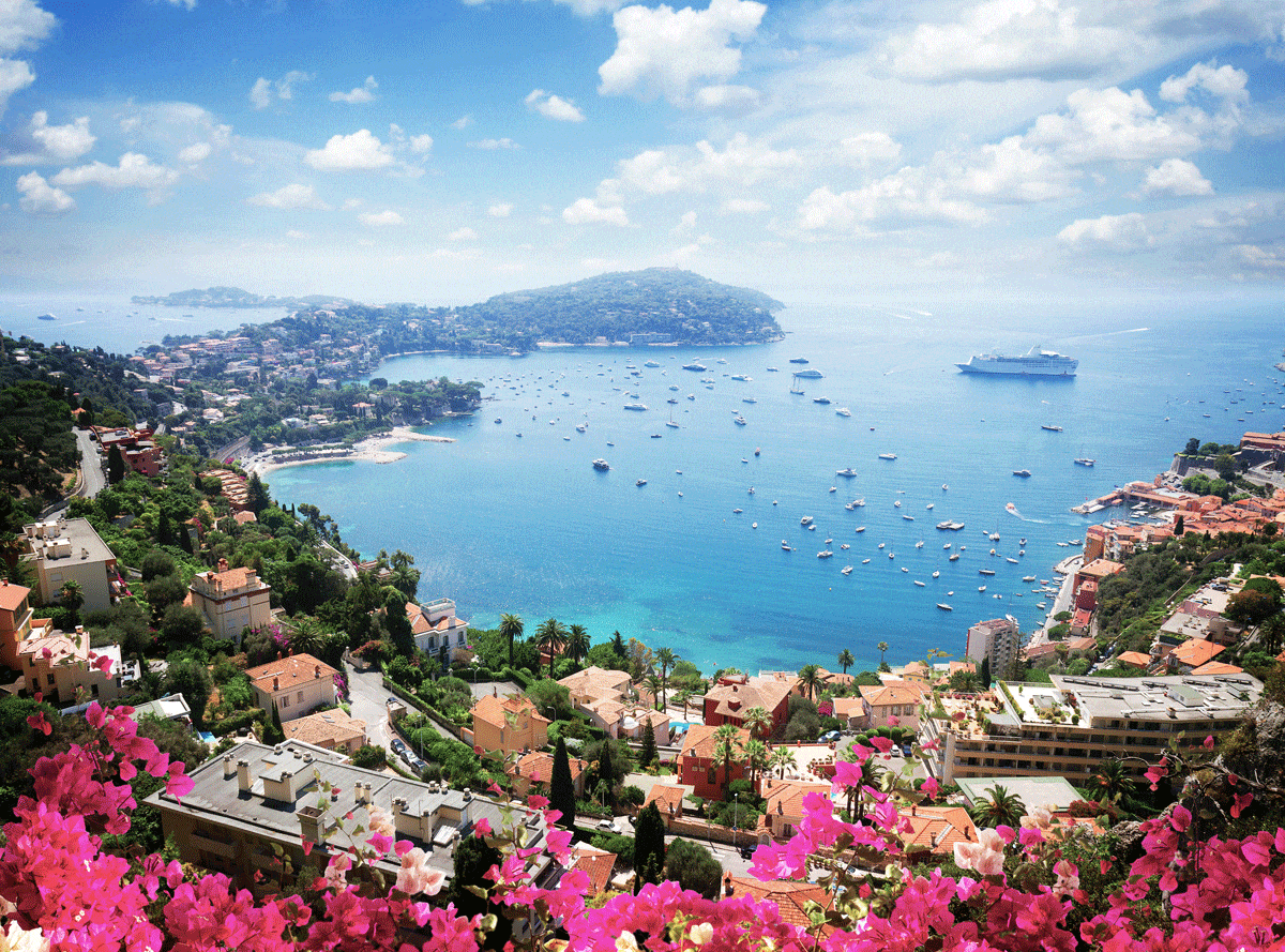 طرح «هر شهروند، یک درخت» در نیس اجرا میشود