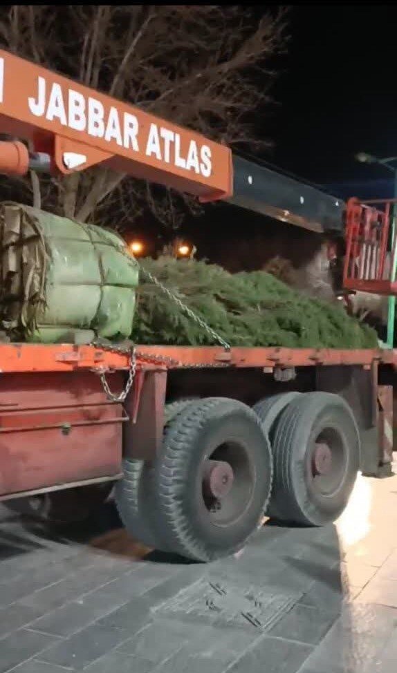 سرو شیراز به میدان امام حسین(ع) اصفهان آمد + فیلم