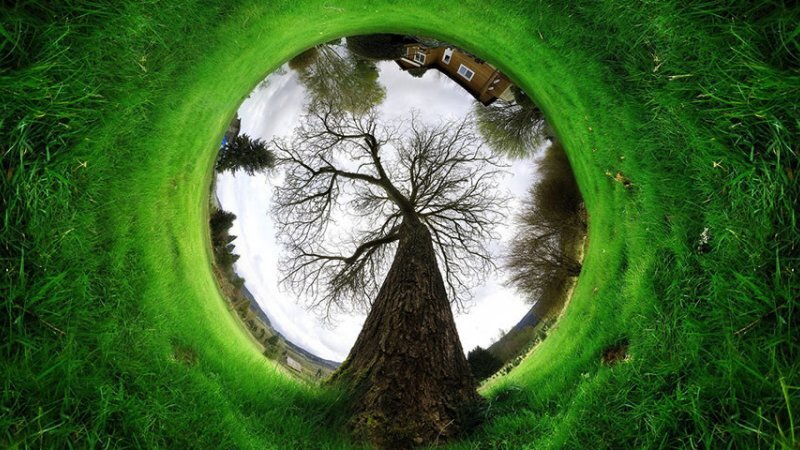 درختکاری؛ راهکاری سبز برای غلبه بر بحران سیاه تغییر اقلیم
