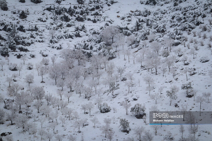 اصفهان میزبان اولین برف زمستانی