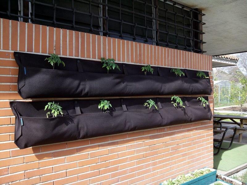 نقش مزارع شهری در ترویج خودکفایی غذایی