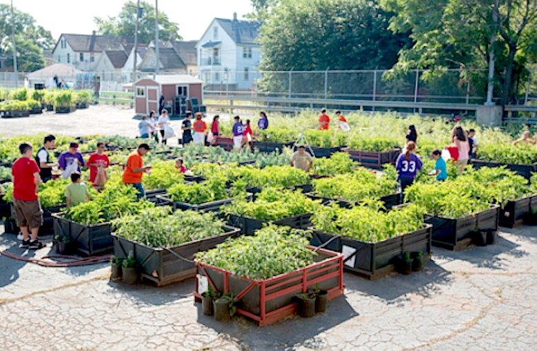 نقش مزارع شهری در ترویج خودکفایی غذایی