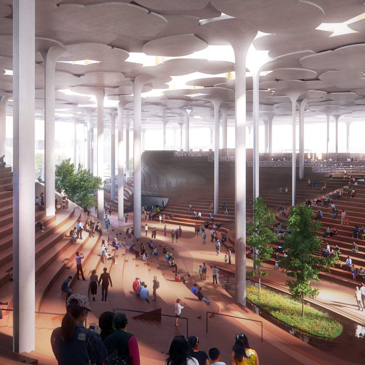 کتابخانهای با بزرگترین فضای مطالعه اقلیمی جهان+ عکس