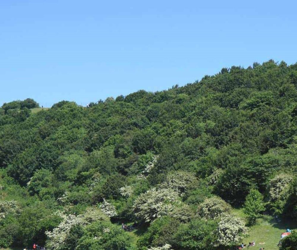 سایه غفلت بر سر صنعت گردشگری کهگیلویه و بویراحمد؛ سرزمین زیباییهای ناشناخته