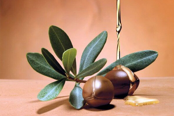 آیا روغن آرگان برای ریزش مو مفید است؟