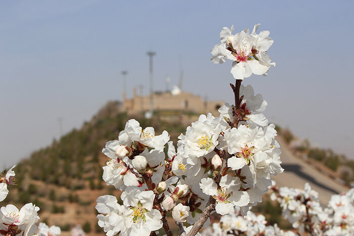 تبریز به استقبال بهار میرود