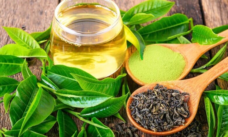 چای سبز برای لاغری مفید است؟ + خواص چای سبز